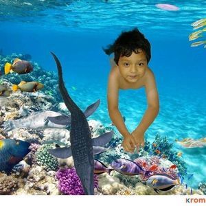 Meet your Posher, Veronica